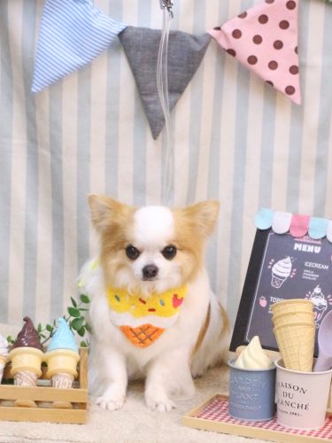 20250516りくくん